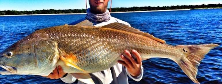 Wrapping Up the Redfish Spawn in the St. Johns