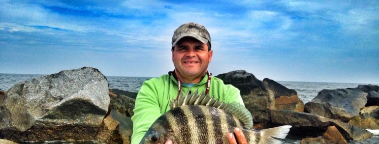 Sheepshead & Bull Reds are Biting at the Jetties