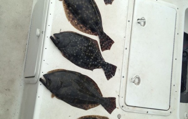 Fall Flounder Run