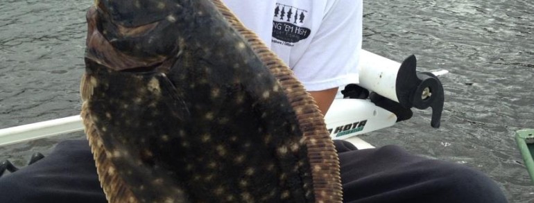 Inshore Flounder and Trout