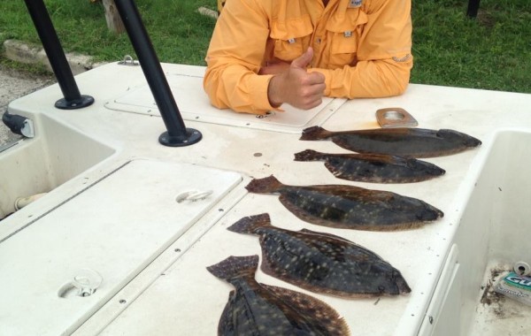 St. Johns River Flounder