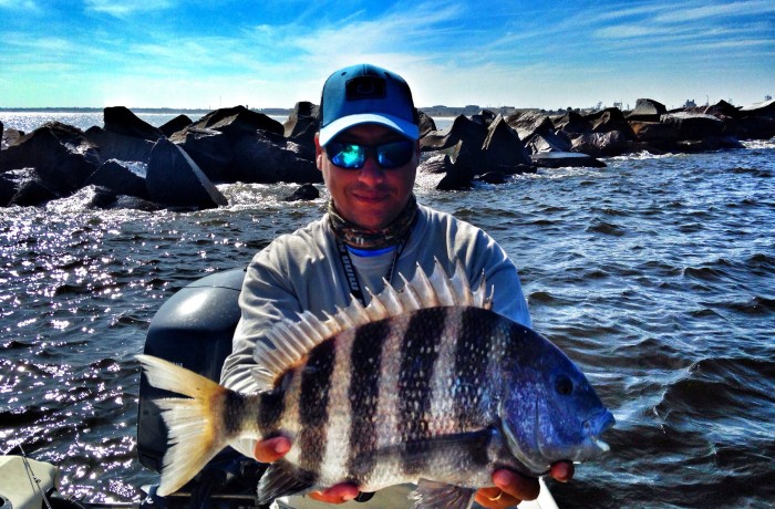 Solid 7 pound Sheepshead