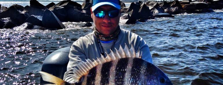 Solid 7 pound Sheepshead