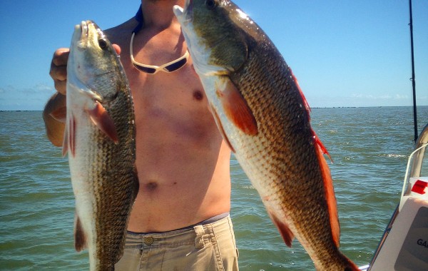 Alex with a limit of Reds