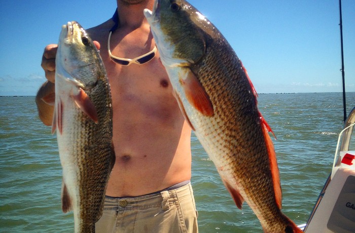 Alex with a limit of Reds