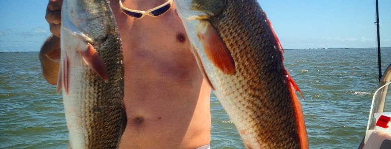 Alex with a limit of Reds