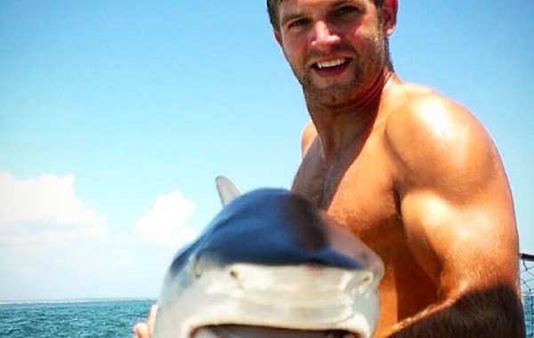 Chip with a stud Black Tip Shark