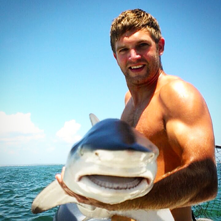 Chip with a stud Black Tip Shark