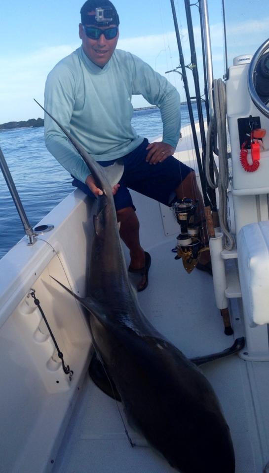 A 150 pound monster Black Tip Shark