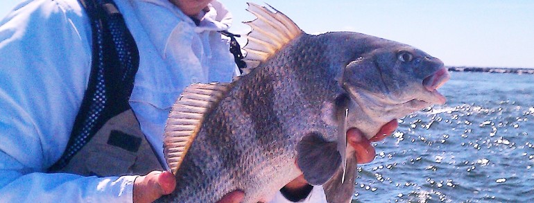 Jay with a keeper Drum