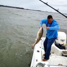 Landing Bills first Bull Red