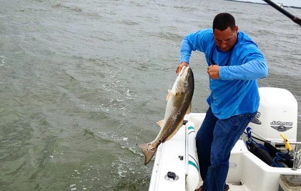 Landing Bills first Bull Red