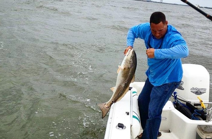 Landing Bills first Bull Red