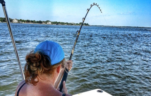 Anna fighting her first Bull Red