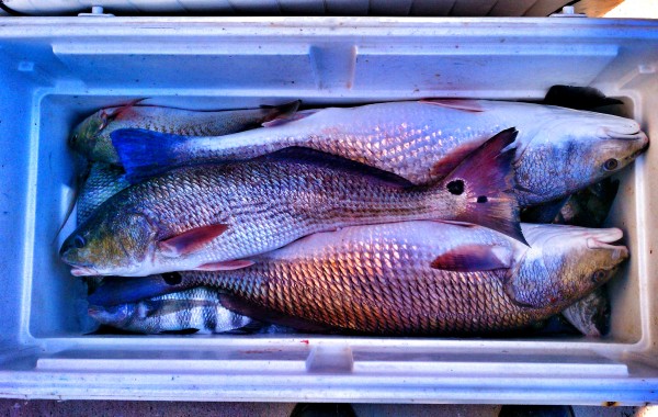 A successful day in the Inlet