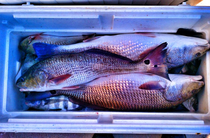 A successful day in the Inlet