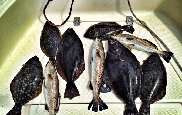 A good day in the St. Johns River