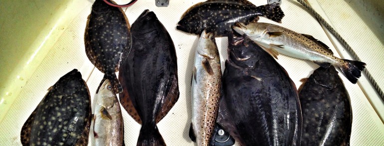 A good day in the St. Johns River