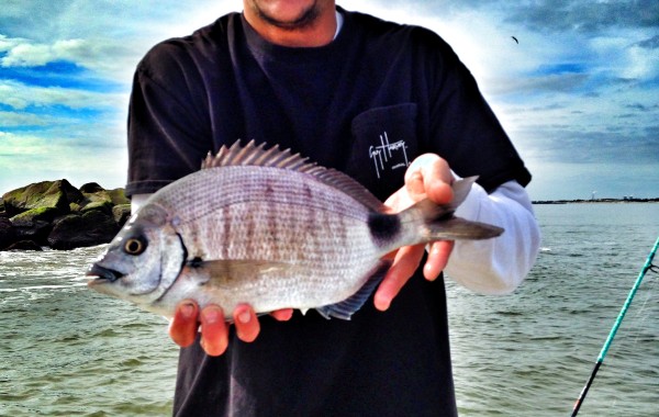 Brandon with a large Ring Tail