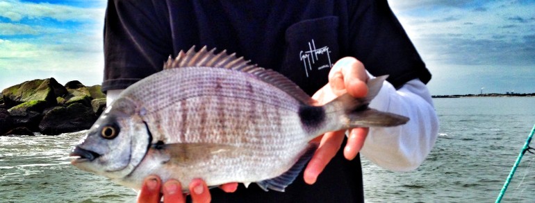 Brandon with a large Ring Tail