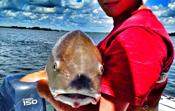 Aj showing off a big Red