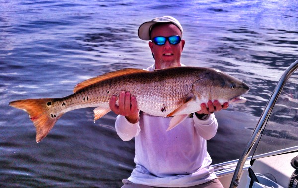 Sam with a Bull Red