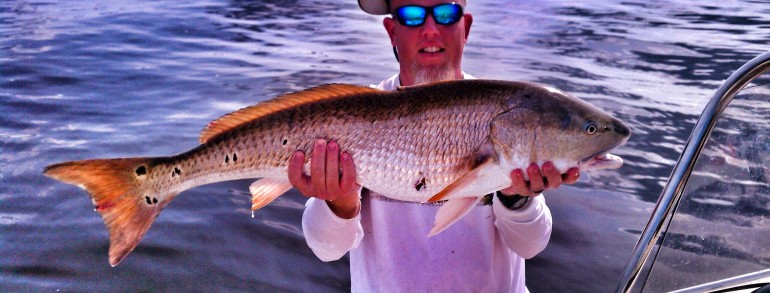 Sam with a Bull Red