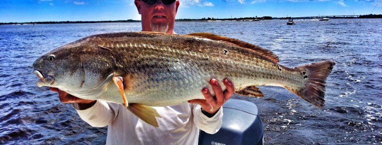 Sam with a monster Bull Red