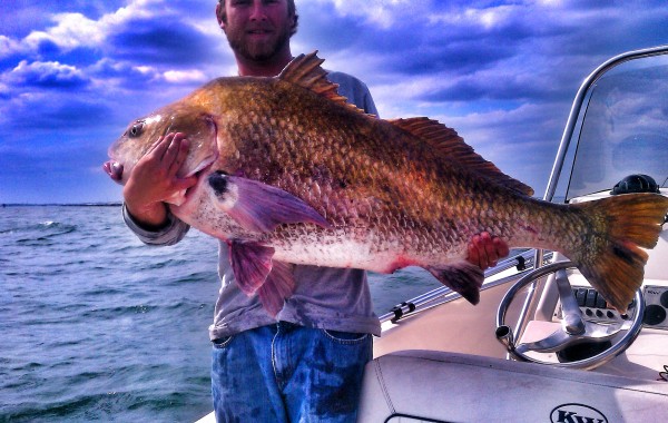 Trevor with his biggest Black Drum
