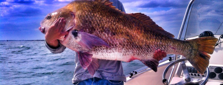 Trevor with his biggest Black Drum