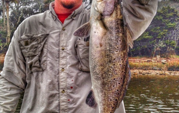 Steve’s 25 inch Sea Trout