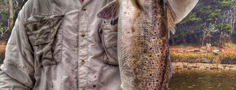 Steve’s 25 inch Sea Trout