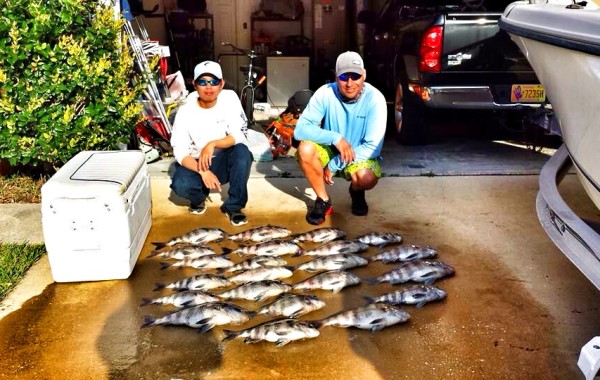 A day of slaying Sheepshead