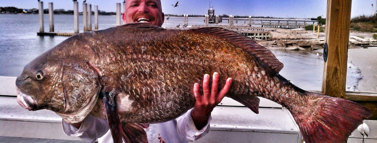 Matt with a massive Drum