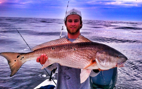 Trevor with a monster Bull
