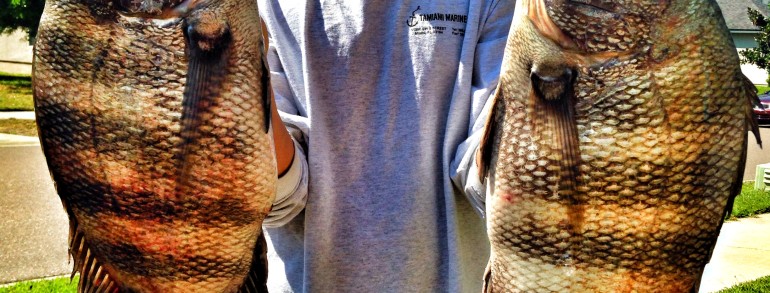 Craig with some beast Sheepshead