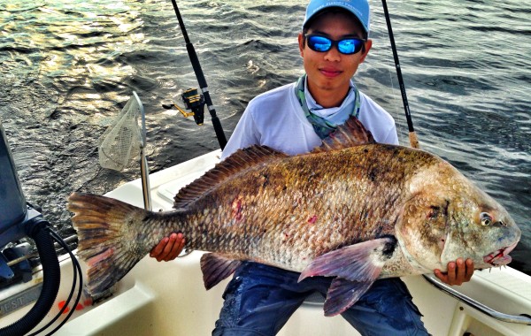 Craigs Big ole Black Drum