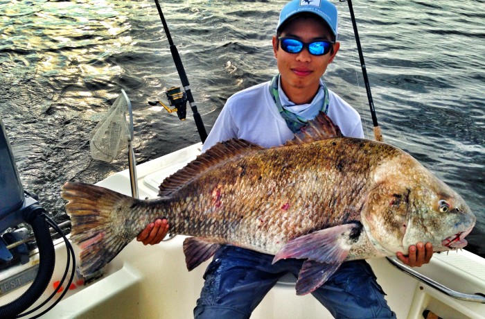 Craigs Big ole Black Drum