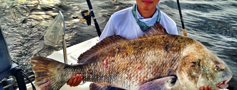 Craigs Big ole Black Drum