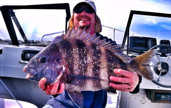 Matt with a 10 pound Sheepshead