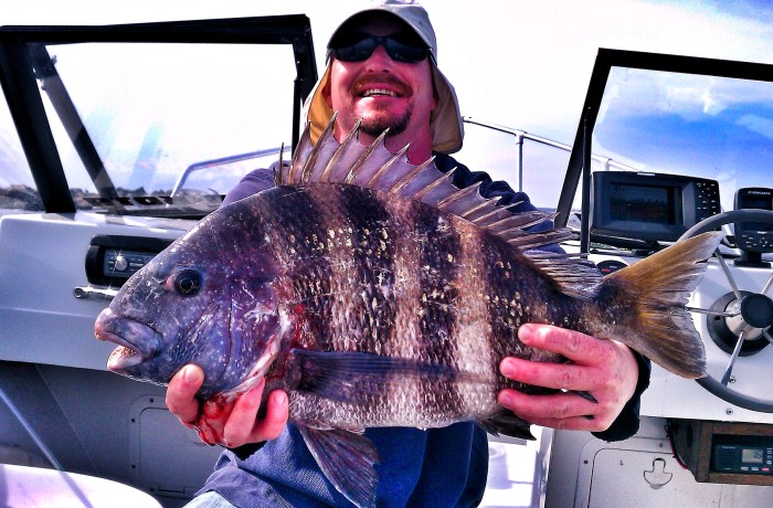 Matt with a 10 pound Sheepshead