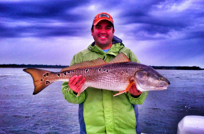 Bills first Bull Red