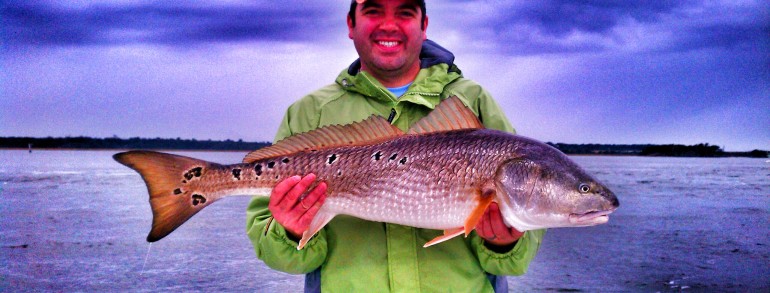 Bills first Bull Red