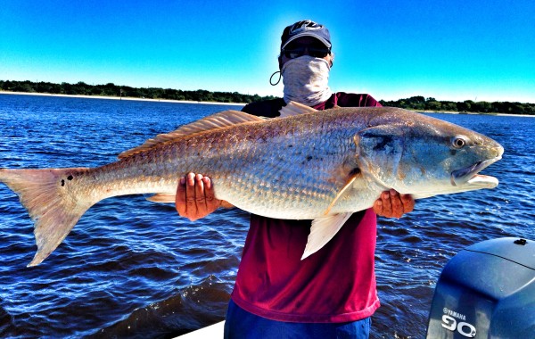 Jim with a 44 inch monster Red