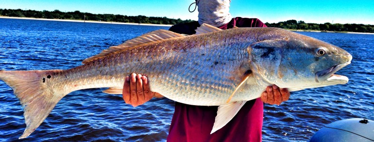 Jim with a 44 inch monster Red