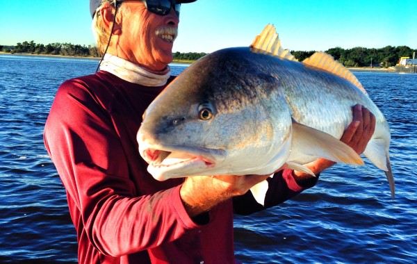 Jim with one of many monster Bulls