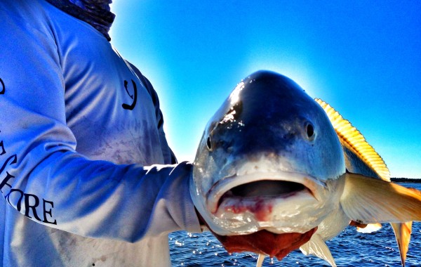 Josh with a big ole Red