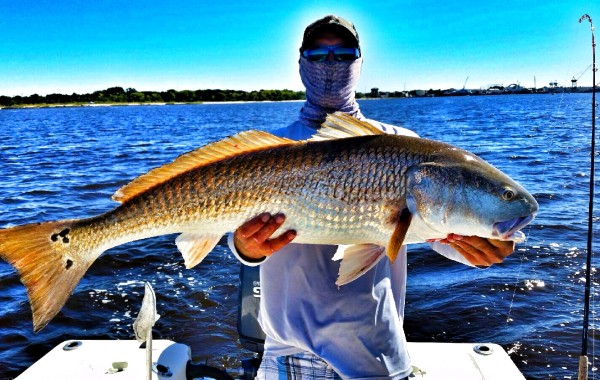 Josh with another Bull
