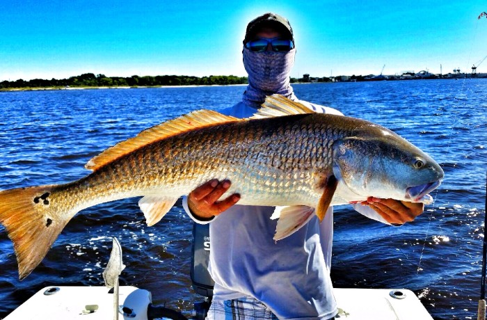 Josh with another Bull