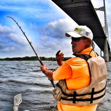 Jay fighting a Bull Red